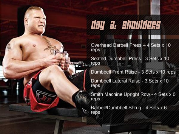 Professional Fighter Brock Lesnar and His Workout Routine ...