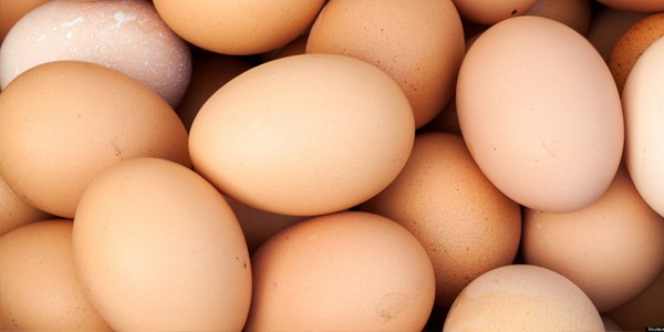 egg666