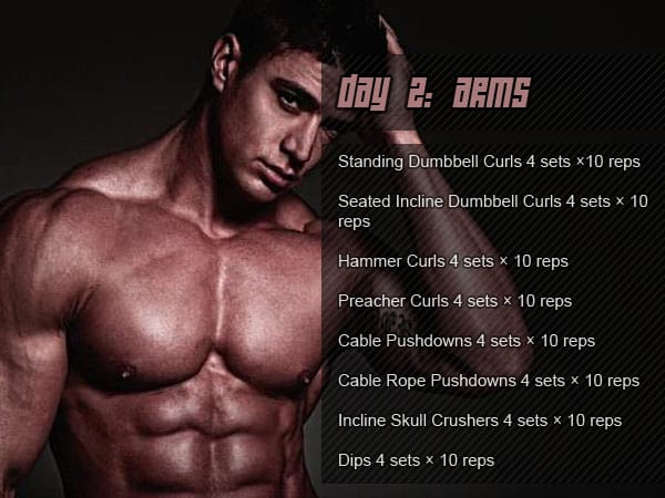 39  Wbff workout plan for ABS