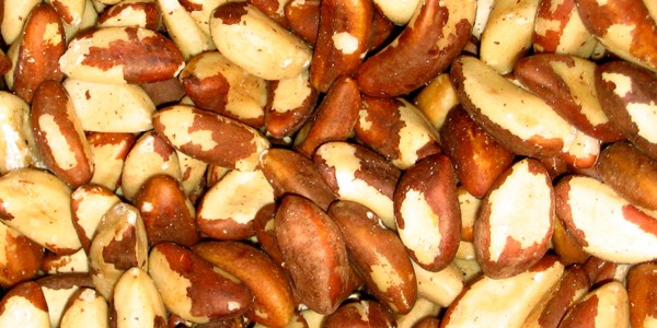nuts555