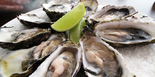 oysters